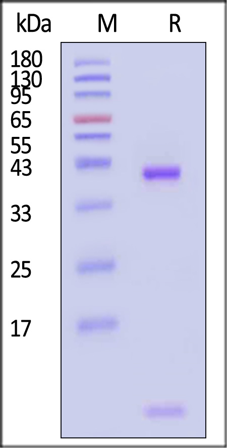 HLR-H82E4-sds