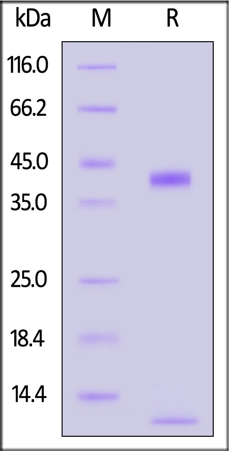 HLR-H82E6-sds