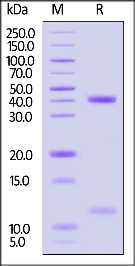 HLS-H82E3-sds