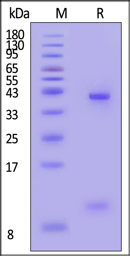 HLS-H82E5-sds