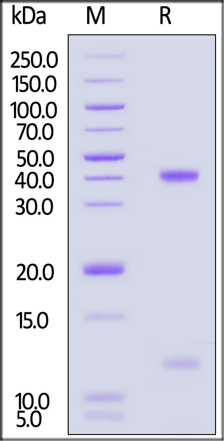 HLT-H82E7-sds