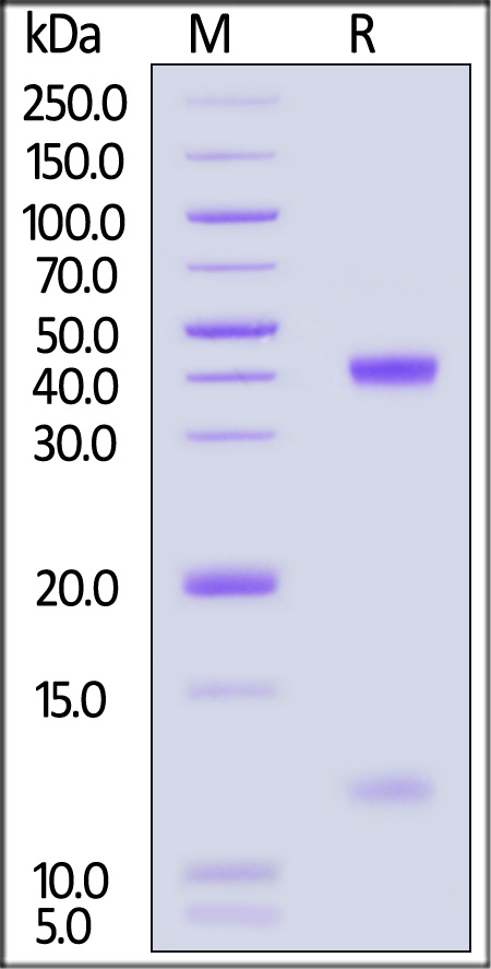 HLT-H82E9-sds