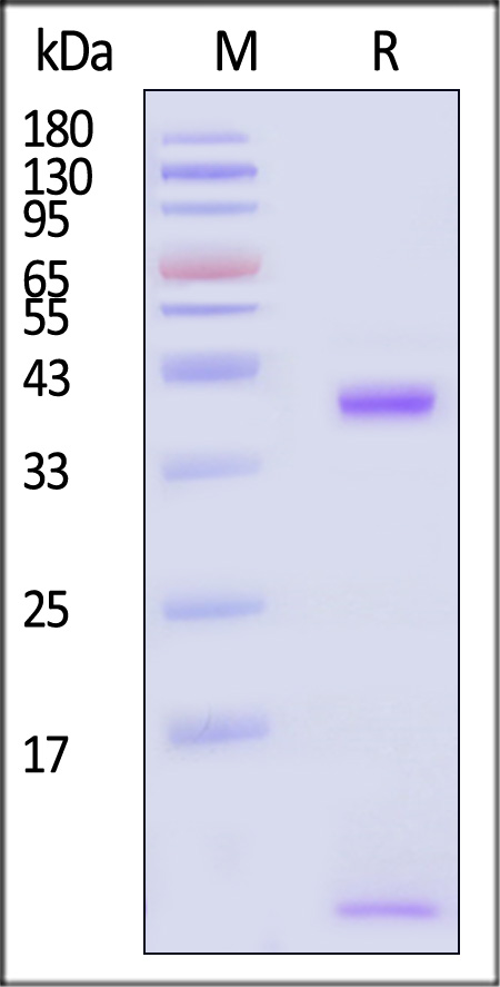 HLW-H82E6-sds