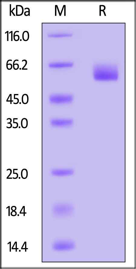 HVM-H82F6-sds