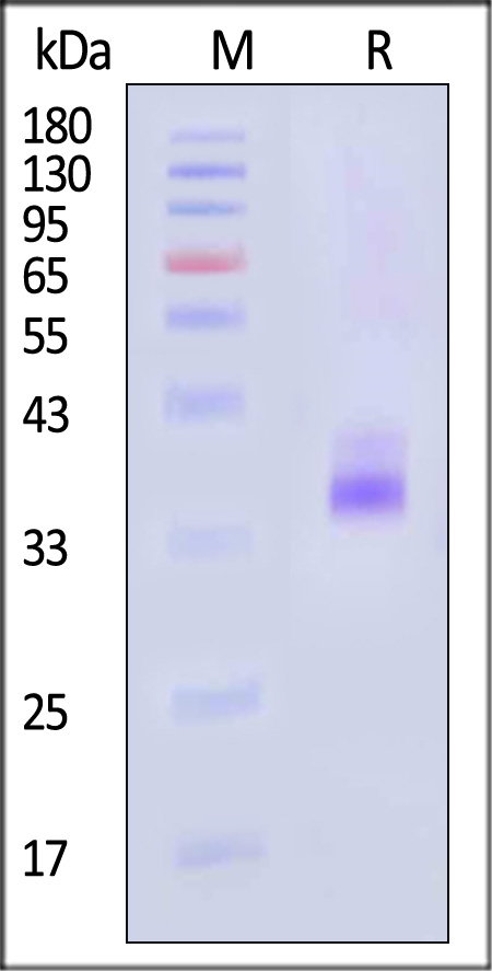 IG4-H82E3-sds