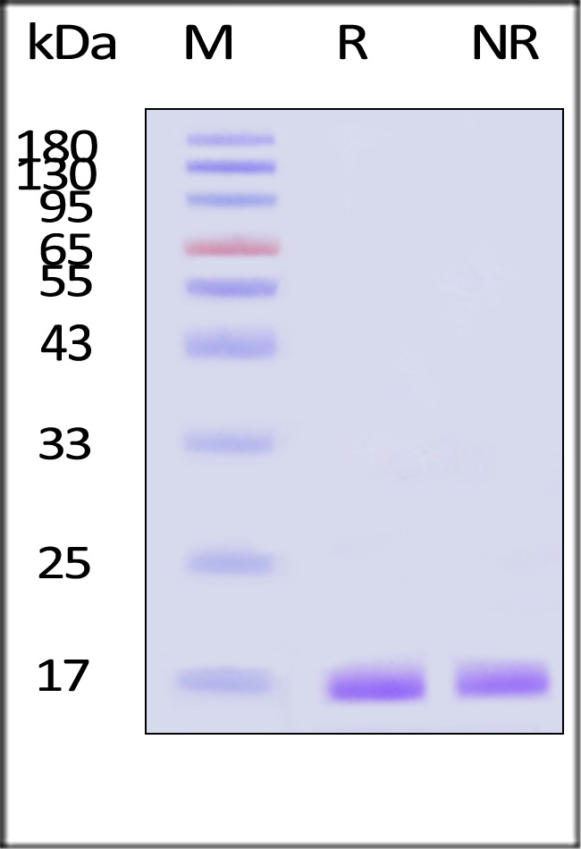 ILB-H4110-sds