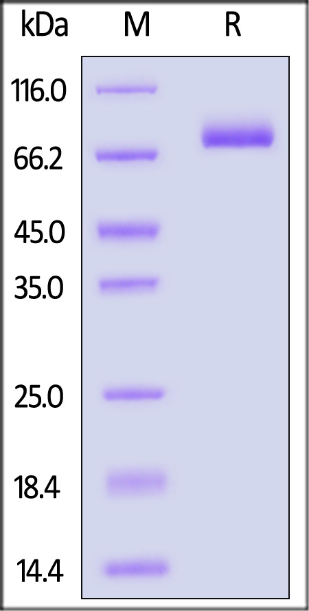 ILB-H52E1-sds