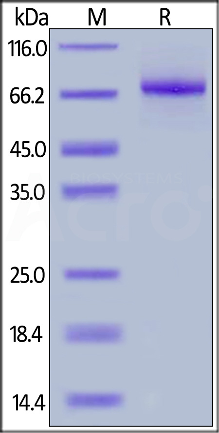 ILB-H52H9-sds