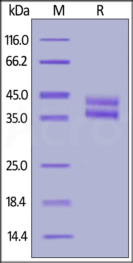 ILB-H82E3-sds