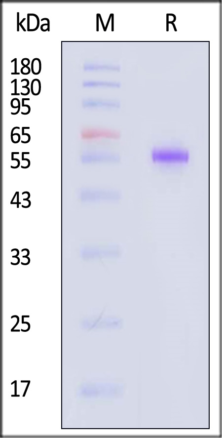 ILB-M82F3-sds