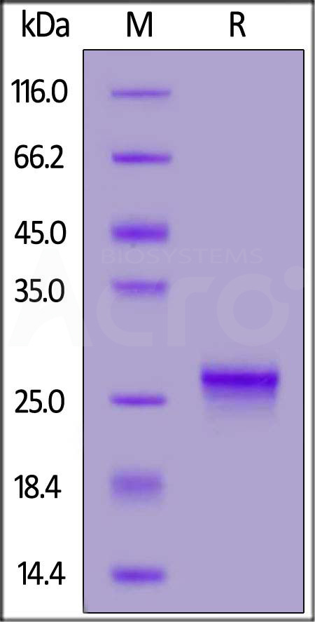 ILC-H82E5-sds