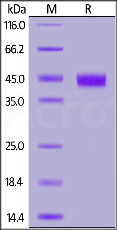 ILG-H85E8-sds