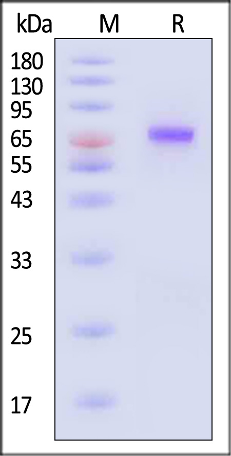 ILR-H82F7-sds