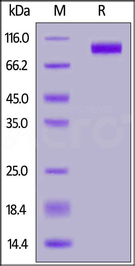 ILT-M52H1-sds