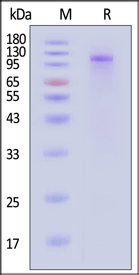 INR-C82E3-sds