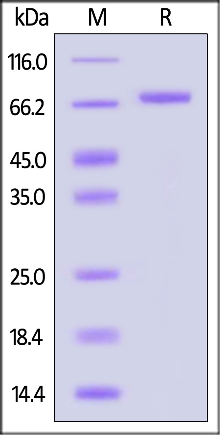 KI3-H82F3-sds