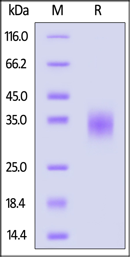 LA5-H52H9-sds