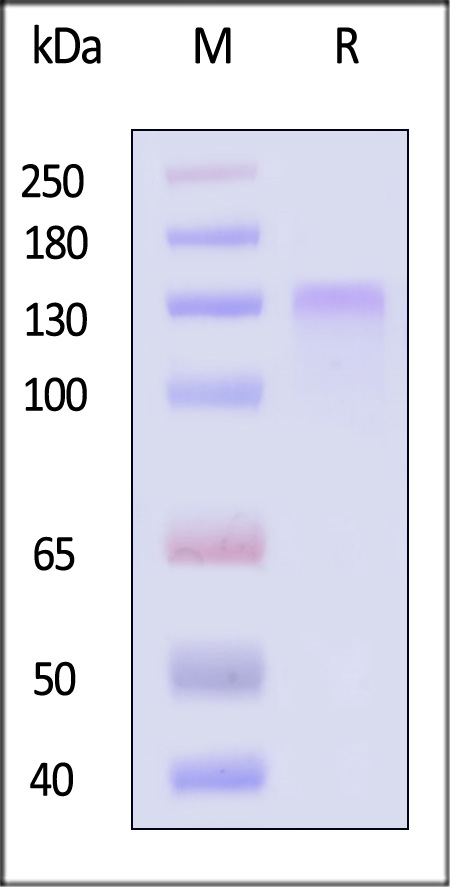 LDR-H5224-sds