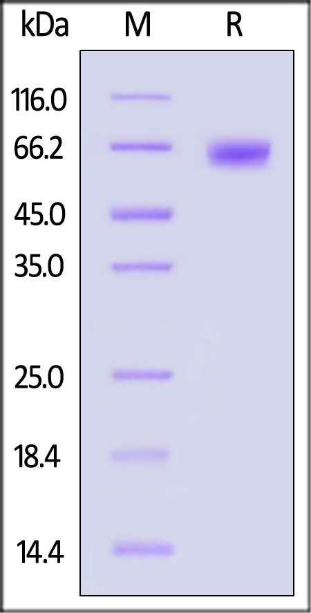 LI2-H82E7-sds