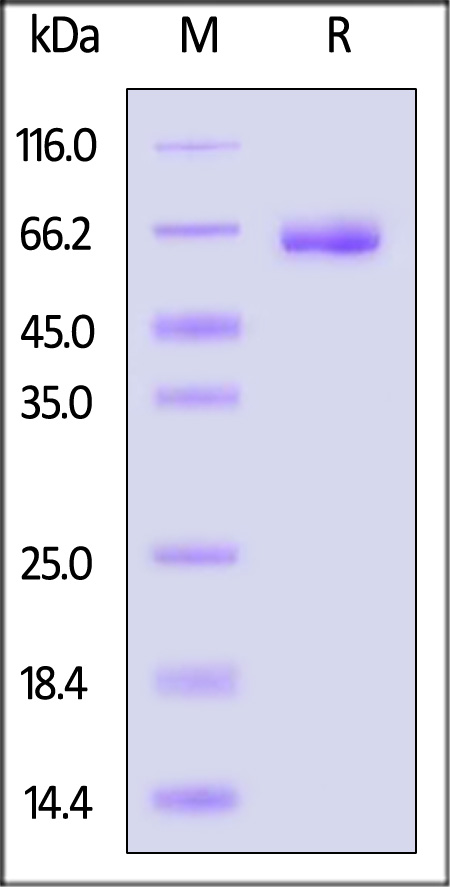 LI4-H82F6-sds