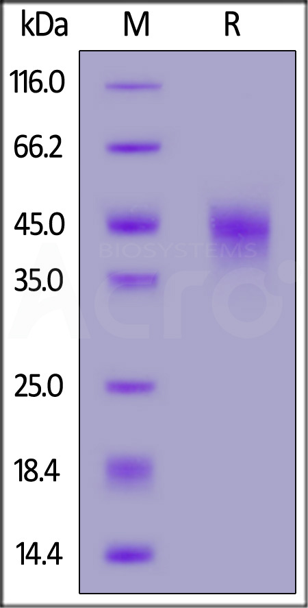 LIF-H52H3-sds