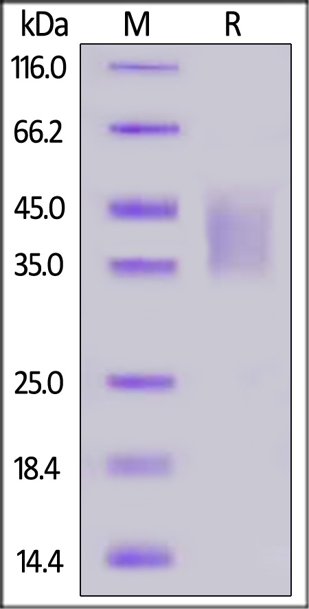 LIF-M5219-sds