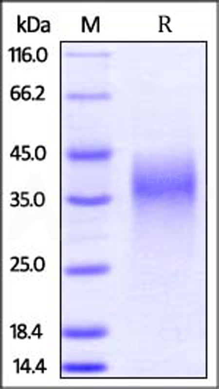 LIF-M5227-sds