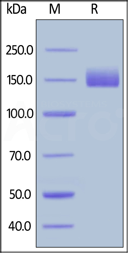 LIR-H4252-sds