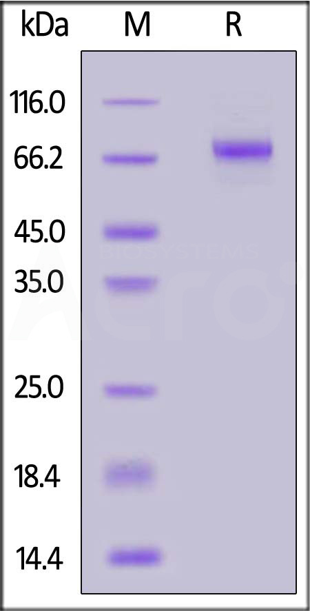 LR5-C82E7-sds