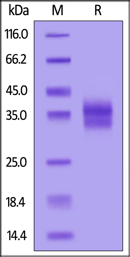 LTR-H82E9-sds