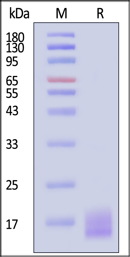 LYD-H82Q3-sds