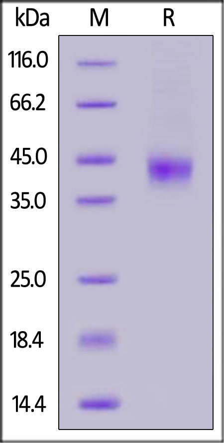 MA3-H52H3-sds