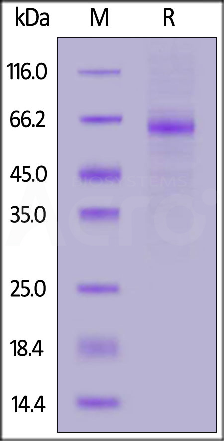 MAR-H5243-sds