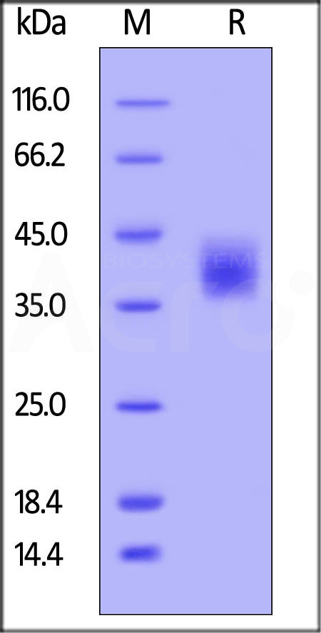 MCF-H5247-sds