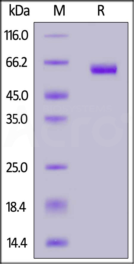 MM9-H5221-sds