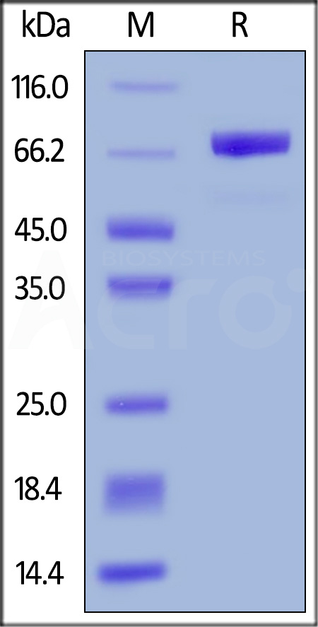 MSN-HR2P4-sds