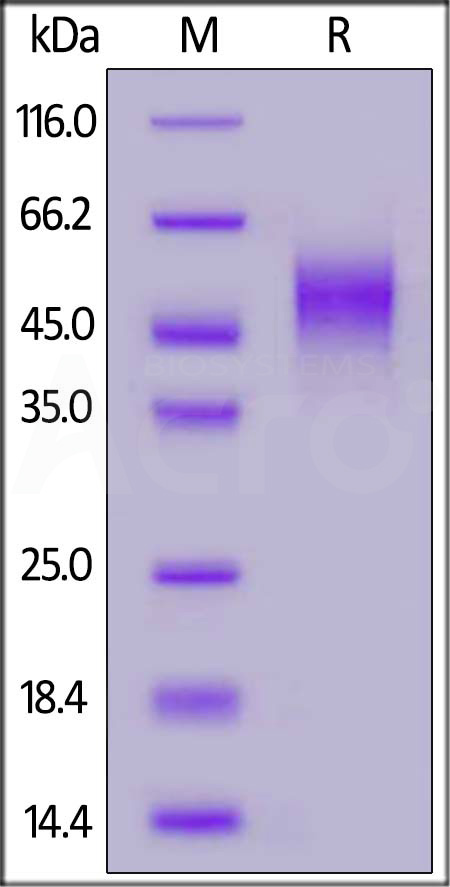 NC4-H82E3-sds