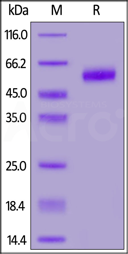 NC4-H82F5-sds