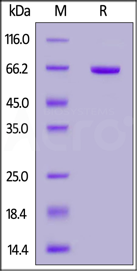 NE4-M5257-sds