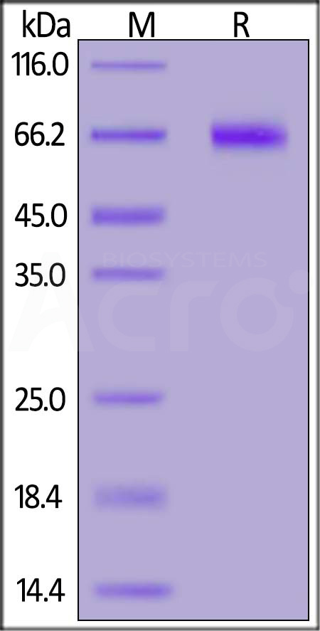 NO1-M52H8-sds