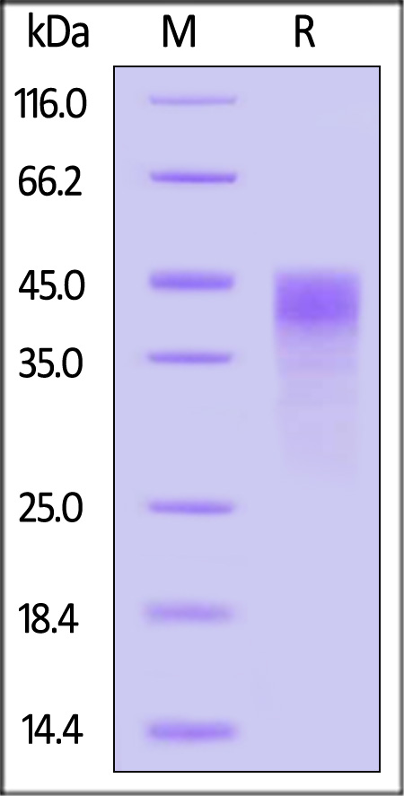 NP6-H82H3-sds