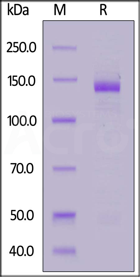 NUL-H5254-sds