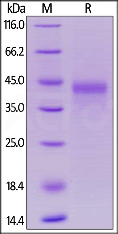 OX0-M522b-sds