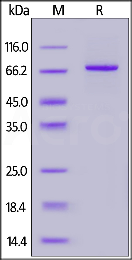 PA2-H5543-sds