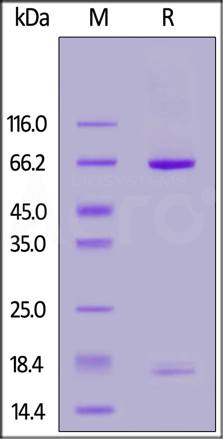 PC9-H5223-sds