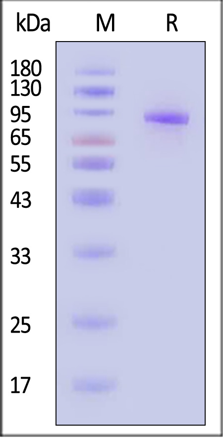 PLV-H82E3-sds