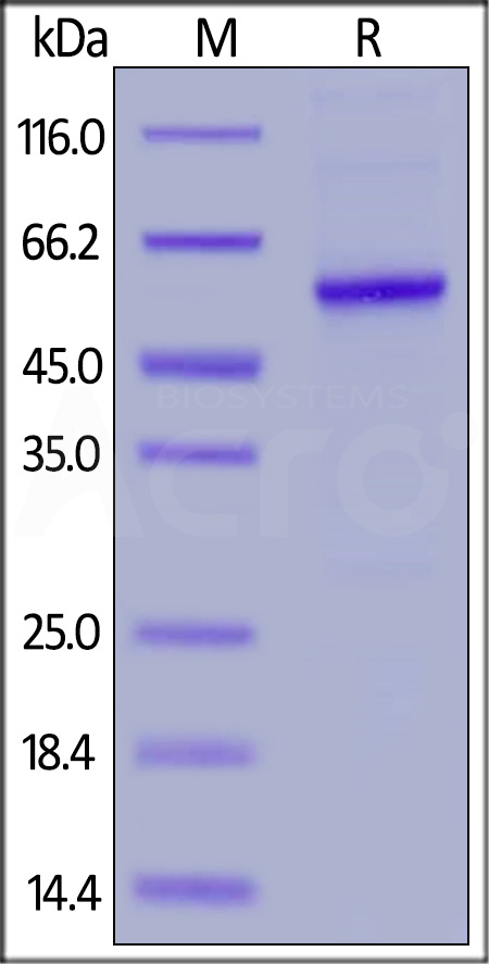 PRN-H52H3-sds