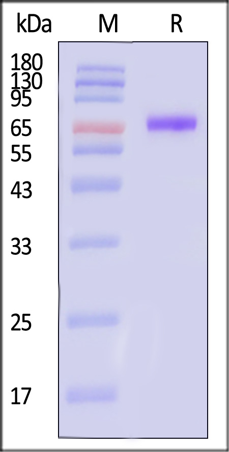 PRN-S52H3-sds