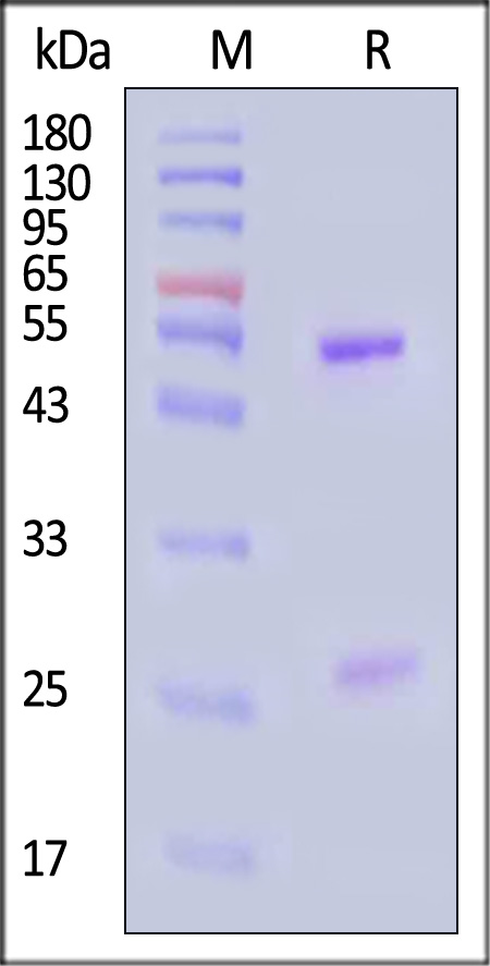 PTX-S343-sds