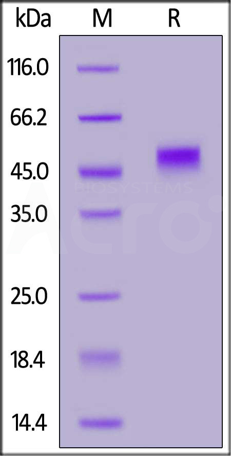 PVG-H82F5-sds